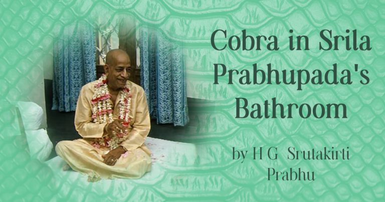 Lorem ipsum dolor sit amet